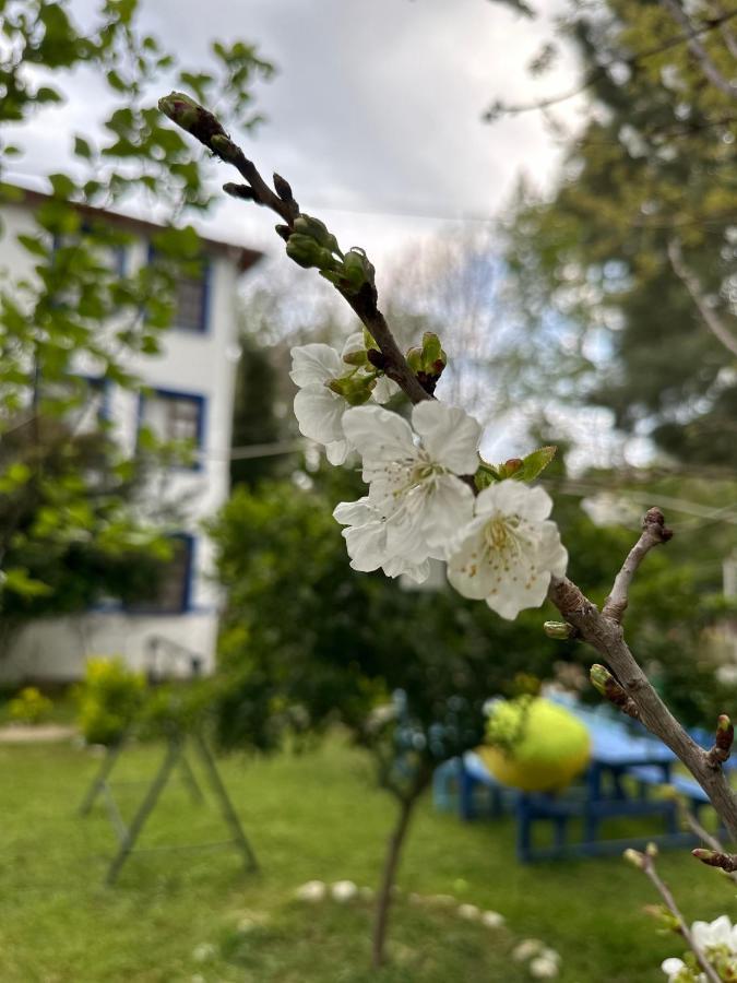 Sakliderebutikotel Edremit  Exterior foto