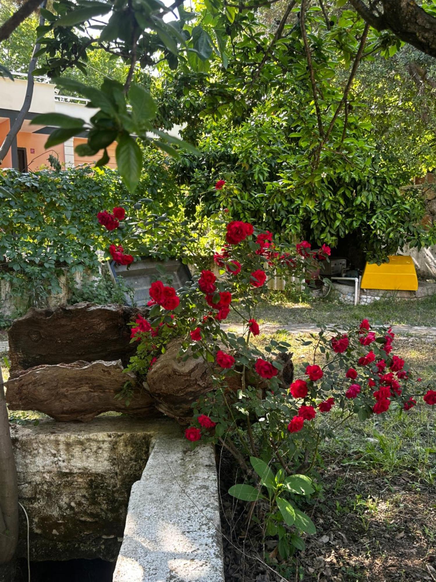 Sakliderebutikotel Edremit  Exterior foto